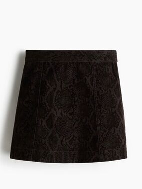 H&M Skirt